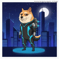 Shiba Inu Deal With It GIF by Doge Pound