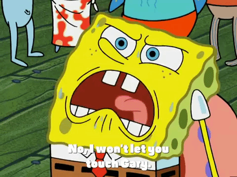new leaf episode 13 GIF by SpongeBob SquarePants