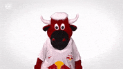 Oh No Failure GIF by FC Red Bull Salzburg