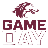 Game Day Football Sticker by SIU Student Center