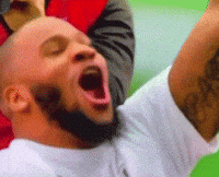 Green Bay Packers Football GIF