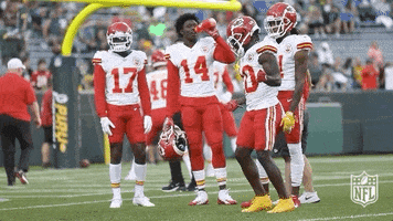 Kansas City Chiefs Football GIF by NFL