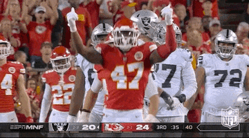 Monday Night Football GIF by NFL