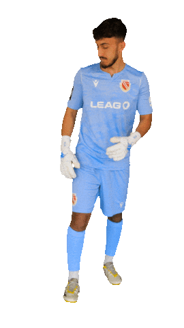 Stadion 3Liga Sticker by FC Energie Cottbus e.V.