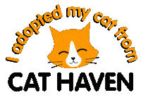 Cats Sticker by Cat Haven WA