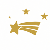 Shooting Star GIF by Young Missio Switzerland