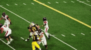 Utah Utes GIF