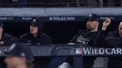 New York Yankees GIF by MLB