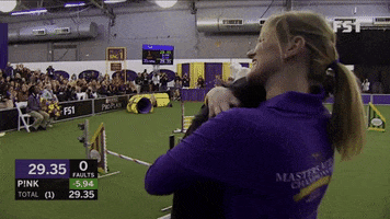 Border Collie GIF by Westminster Kennel Club