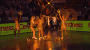 sport dunk GIF by easyCredit Basketball Bundesliga