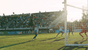 Usl Championship GIF by Charleston Battery