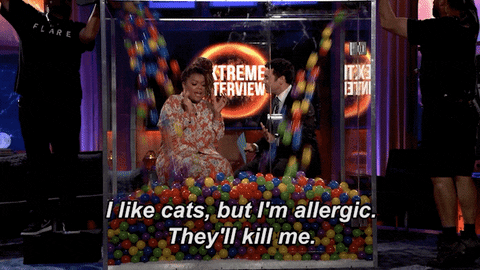 Yvette Nicole Brown Cat GIF by What Just Happened??!