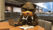 tired worn out GIF by IUPUI