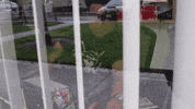 The Office Comedy GIF by BonafidePomade