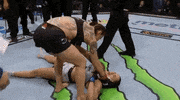 ufc 232 sport GIF by UFC