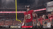 Tampa Bay Buccaneers Football GIF by NFL