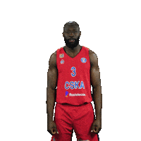 Sport Basketball Sticker by CSKA Moscow