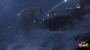 Jurassic Park GIF by Vidiots