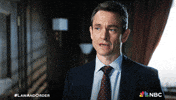 Season 25 Nbc GIF by Law & Order
