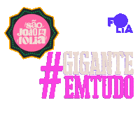 foliaentretenimento aracaju sergipe saojoao nattan Sticker