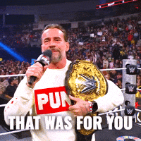 Cm Punk Belt GIF by WWE