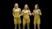 Cuc GIF by CUCougars