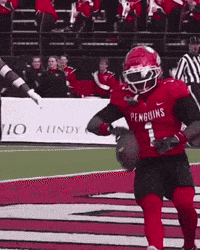 College Football Penguin GIF
