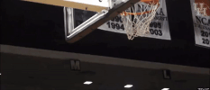 houston cougars GIF by Coogfans