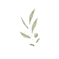 oakandstone olive farmhouse olivebranch joannagaines Sticker