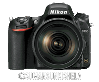 Nikoninstabadge D750 Sticker by NikonIndia