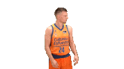 Assist Liga Endesa Sticker by ACB