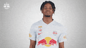 Aye Aye Football GIF by FC Red Bull Salzburg
