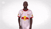 Red Bull Sport GIF by FC Red Bull Salzburg