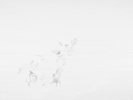 Animation Dog GIF by Jonah Primiano