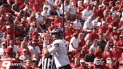 Rams Football Csurams GIF by Colorado State Rams