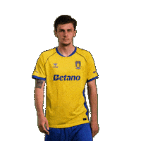 Goalcelebration Sejr Sticker by Brøndby IF