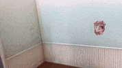 Cats Fail GIF by Alex Boya