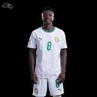 Fifa World Cup Caf GIF by Respective