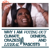 Digital art gif. Kandi Burruss eyes wide with fury, throwing her hands in the air in defiant emphasis, shouting "The lies, the lies!" mismatched fonts and energetic doodles all around. Text, "Why I am voting out climate deniers and literal fascists."
