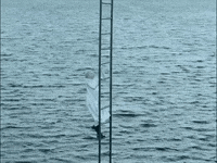 aurora aksnes glassnote music GIF by AURORA