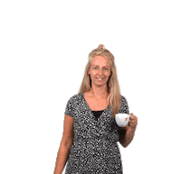 VanWanrooij_Bouw_Ontwikkeling van wanrooij van wanrooij bouw en ontwikkeling kim van lieshout Sticker