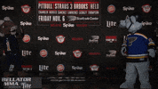 mma GIF by Bellator