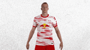 Lets Go Football GIF by RB Leipzig