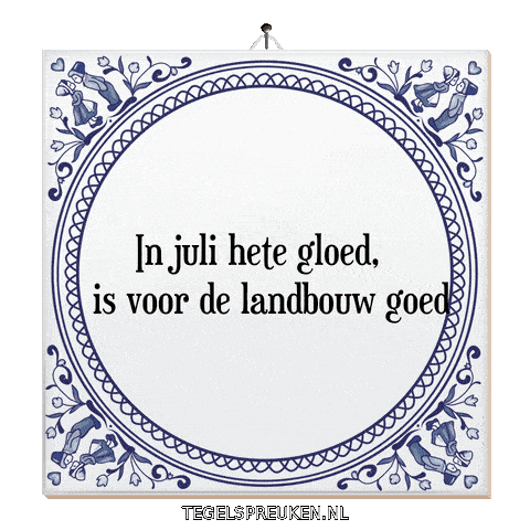 Licht Zon Sticker by Tegelspreuken.nl