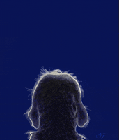 MoonDoggy3327 animals dogs moon doggy GIF