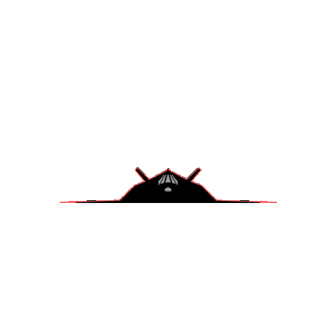 Air Force Stealth Sticker by RampCheckGlobal