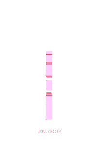 Party Pink Sticker by Nelly.com