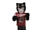 College Sports Sport Sticker by Chapman University