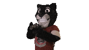 College Sports Sticker by Chapman University