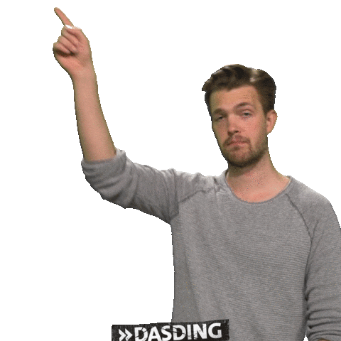 Point What Sticker by DASDING